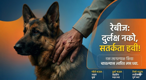 सावधान! पाळीव प्राण्यांचा अतिलाड ठरू शकतो जीवघेणा; अहमदाबादमधील पोलीस उपनिरीक्षकाचा रेबीजने दुर्दैवी अंत