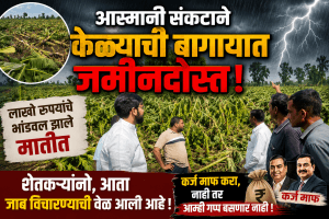 रावेर मध्ये वादळी वाऱ्यासह गारपीट केळीबागायतीचे नुकसान शेतकरी हवालदिल