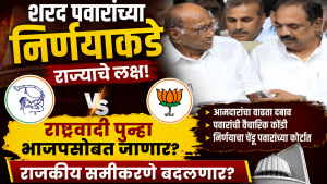 शरद पवारांच्या निर्णयाकडे राज्याचे लक्ष: राष्ट्रवादी पुन्हा भाजपसोबत जाणार?