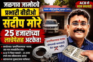 जळगाव जामोदचे प्रभारी बीडीओ संदीप मोरे २५ हजारांच्या लाचेसह अटकेत!