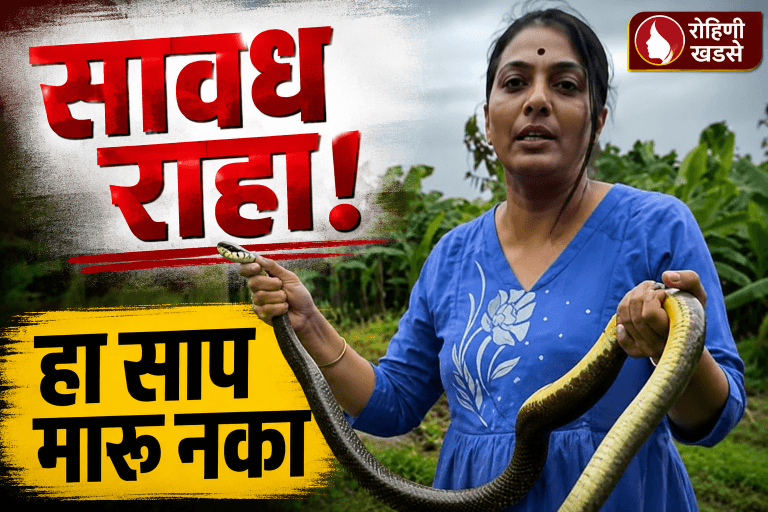 धामण साप आहे शेतकऱ्याचा खरा मित्र: रोहिणी खडसे