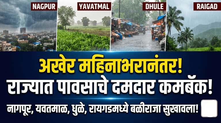 महिनाभरानंतर राज्यात पावसाचे कमबॅक; पिकांना नवसंजीवनी!