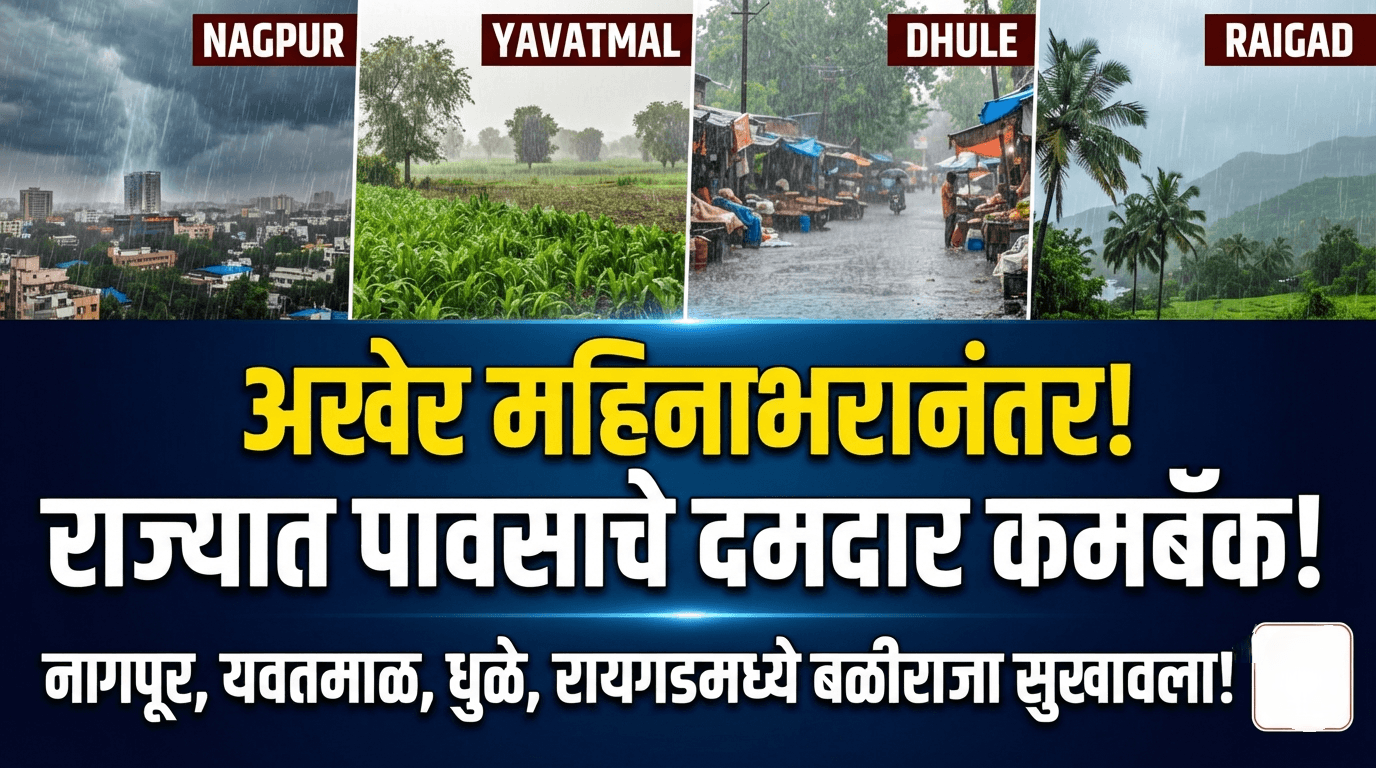 महिनाभरानंतर राज्यात पावसाचे कमबॅक; पिकांना नवसंजीवनी!